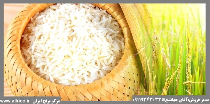 خرید برنج صدری