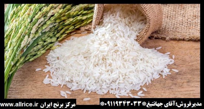 قیمت برنج حسن سرایی