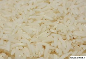 مرکز برنج ایران