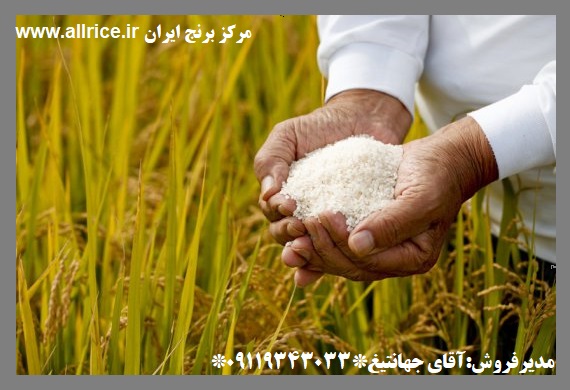 قیمت عمده برنج ایرانی در بازار