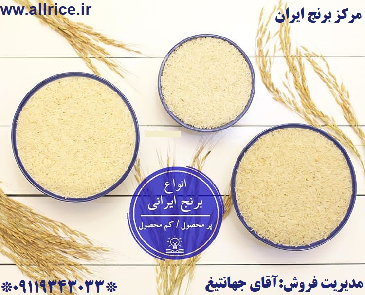 قیمت انواع برنج ایرانی99
