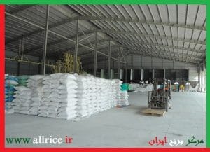 صادرات برنج دم سیاه