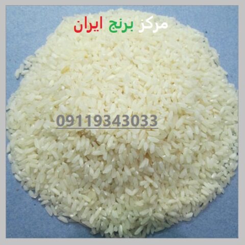 ((قیمت روز برنج فجر))