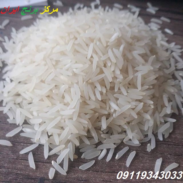 برنج فجر علی آباد کتول