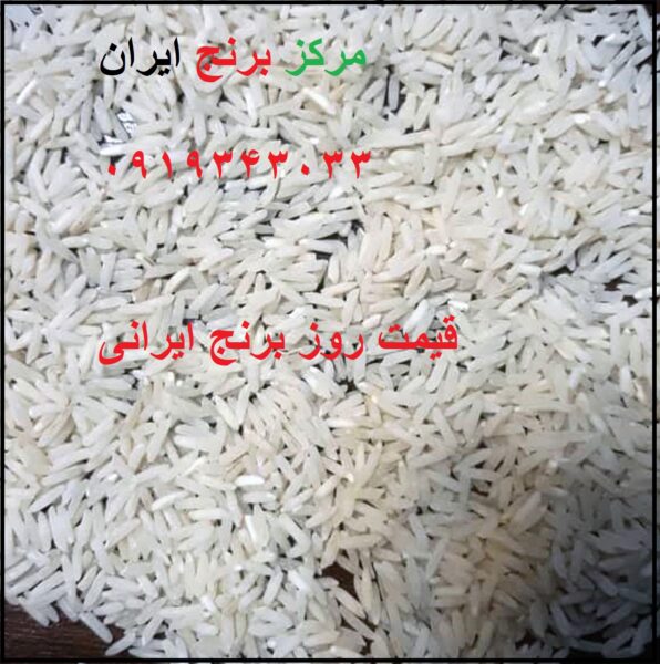فروش انواع برنج فجر