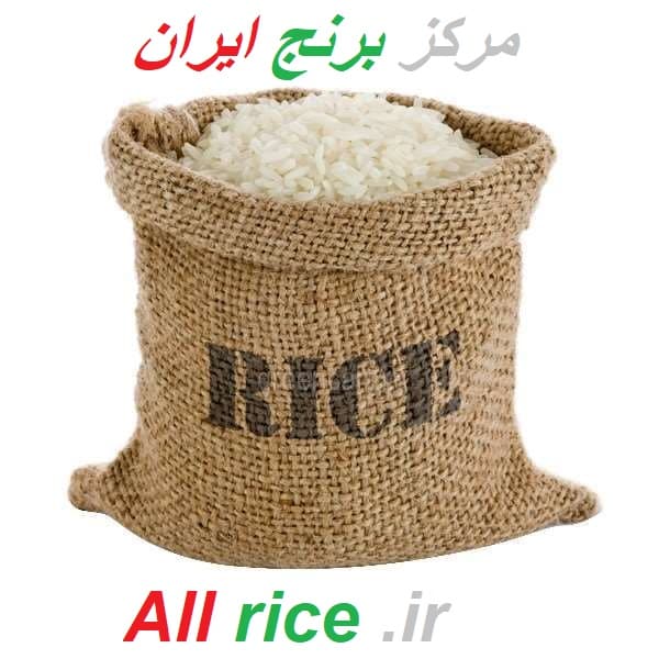 خرید عمده برنج دم سیاه