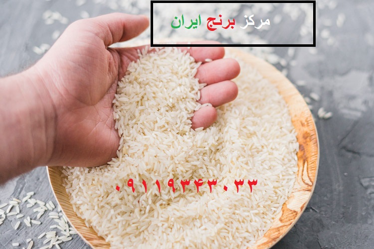 قیمت خرید عمده برنج هندی