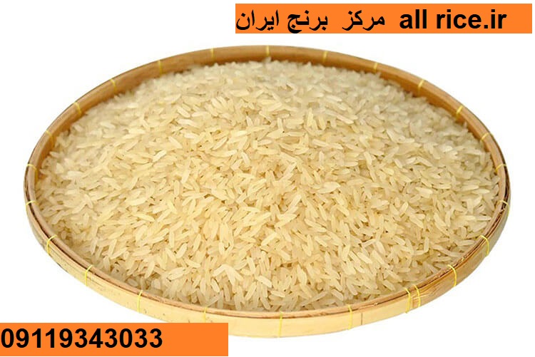 خرید عمده برنج هندی