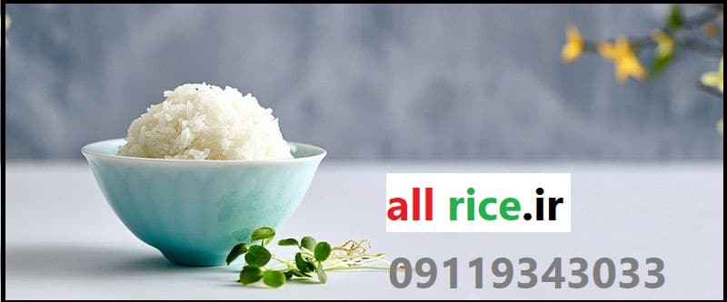 خرید برنج فجر سوزنی