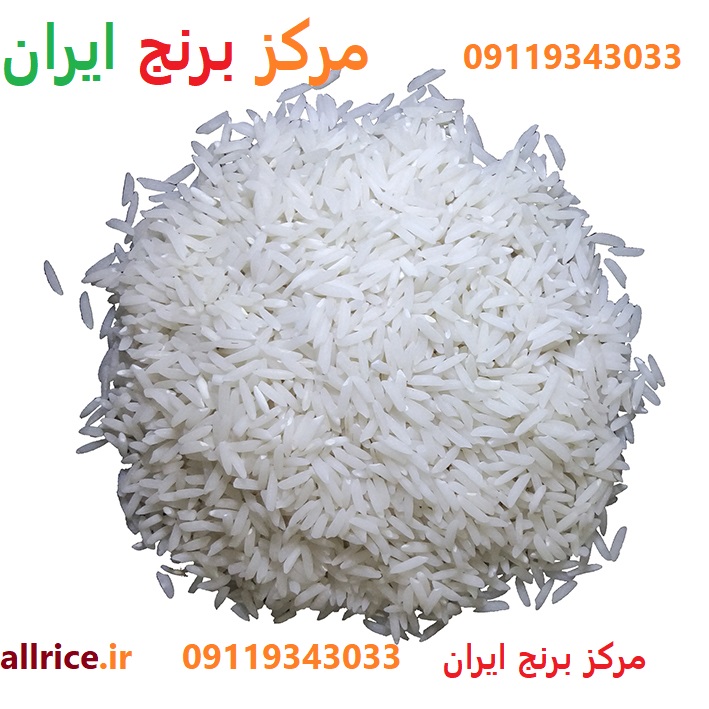 قیمت خرید عمده برنج فجر