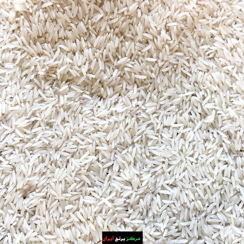 برنج فجر قیمت