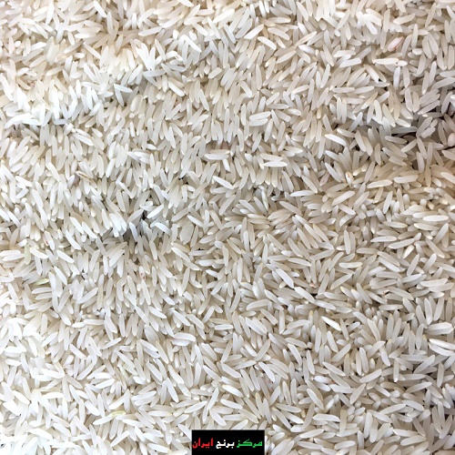 برنج فجر قیمت
