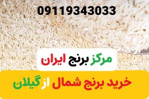 خرید برنج شمال از گیلان با تخفیف 50%【☎️ 09119343033 】