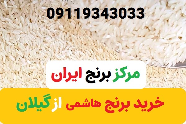 خرید برنج ایرانی هاشمی از گیلان با
