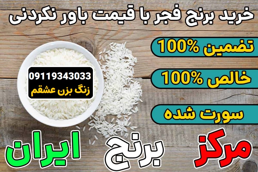 خرید برنج فجر در تهران به قیمت عمده فروشی【☎️ ارسال رایگان در منطقه】